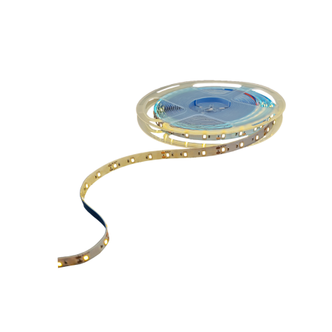 inlite infs014
