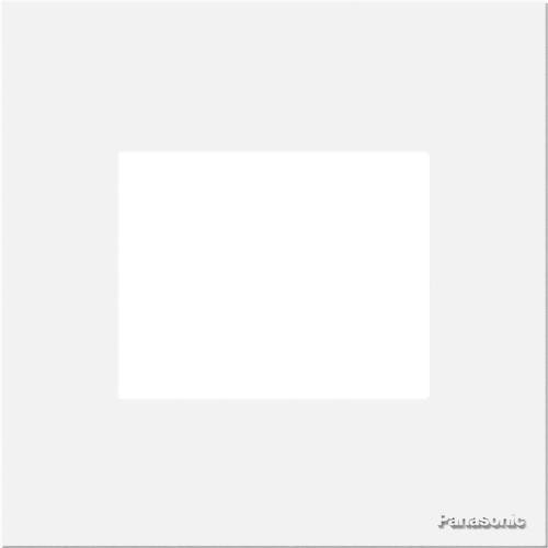 panasonic plat 1 gang 2 device fw (2)