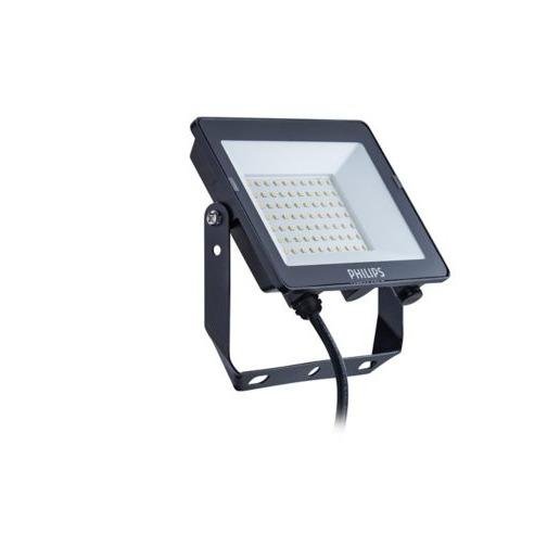 philips floodlight